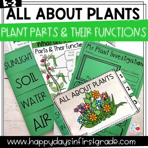 Image result for Plant Lesson First Grade