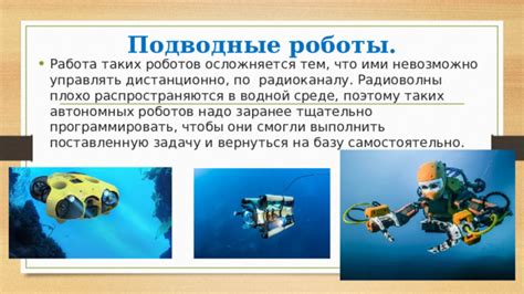 Функциональное разнообразие роботов.