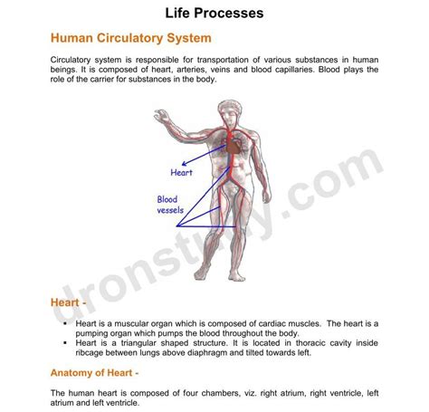 Dronstudy.com Class 10 的图像结果