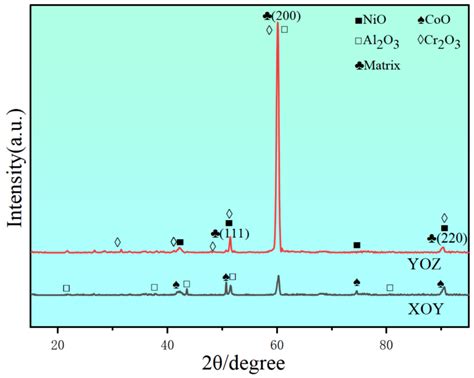 Hot-Corrosion Behaviour of NiCoCrW Superalloy Fabricated by Selective ...
