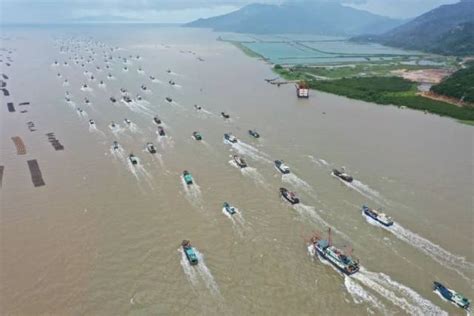 江门_古劳水乡_4K_3840X2160_高清视频素材下载(编号:8604877)_实拍视频_光厂(VJ师网) www.vjshi.com