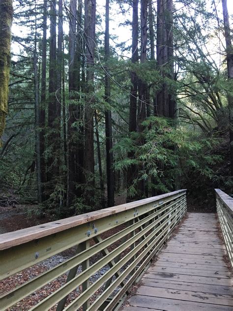 Kentfield Ca United States