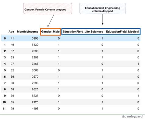 Dummy Variable Trap Explained 的图像结果