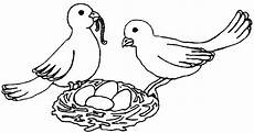 malvorlage vogel im nest pin malvorlage kohlmeise und blaumeise abb 9773 on malvorlage vogel im nest pin malvorlage kohlmeise und blaumeise abb 9773 on