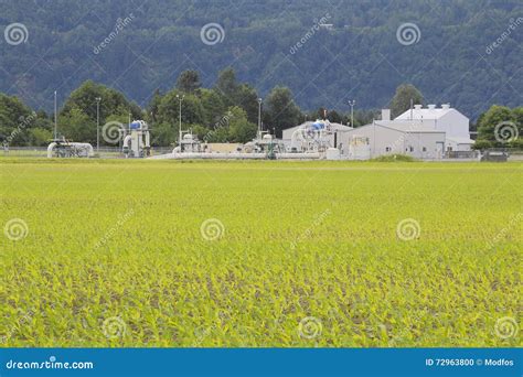 Williams Northwest Pipeline Company Editorial Image - Image of united ...