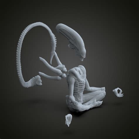 Alien Yoga 的图像结果