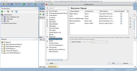 Image result for Update SQL Developer Oracle