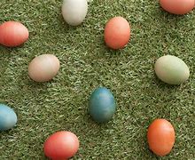 Image result for Easter Egg Photography Background