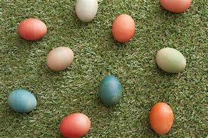 Image result for Easter Minis Photography