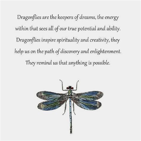 Image result for dragonfly symbolic meaning | Dragonfly quotes ...