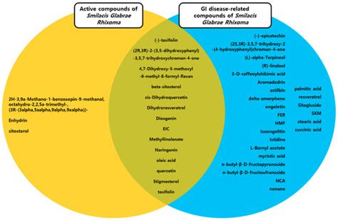 Network Pharmacological Analysis and Experimental Validation of the ...
