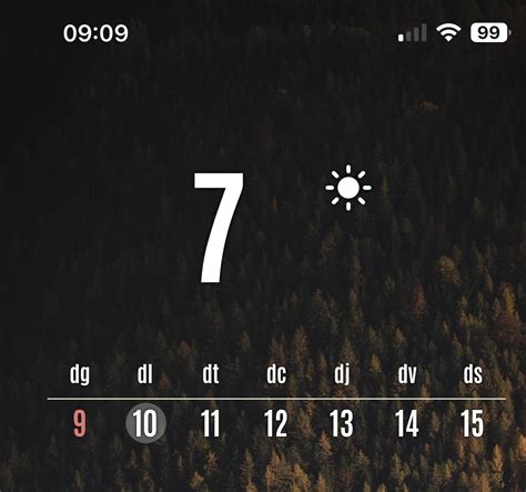 Image result for Widget Language