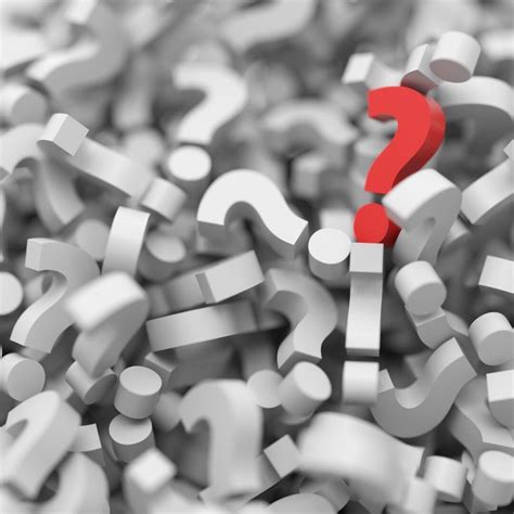 Wait Until 8th Essentials — Wait Until 8th