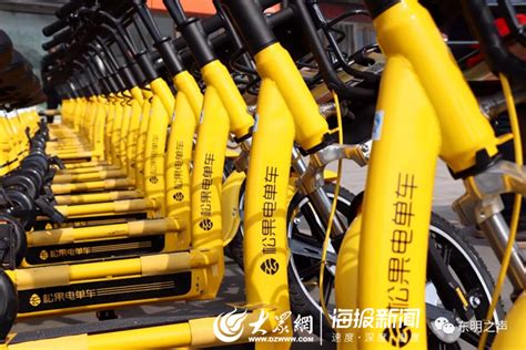 共享单车来了 菏泽城区将引进6000辆互联网租赁自行车_菏泽新闻_菏泽大众网