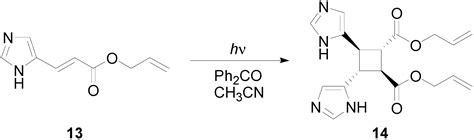 A DFT Study of the Photochemical Dimerization of Methyl 3-(2-Furyl ...