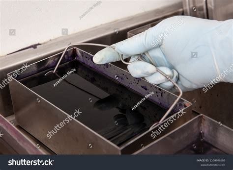 Microscope Slide 的图像结果