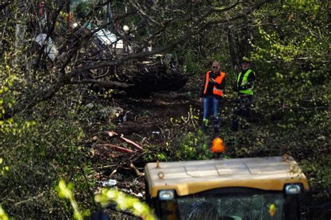 Novosti.rs | Galerija | POGLEDAJTE ŠTA SE PRETRAŽUJE DA BI SE NAŠLO ...