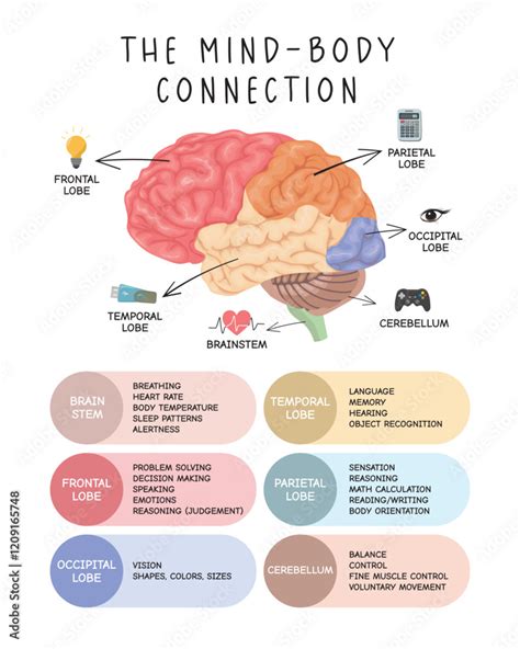 Image result for Mind and Brain Connection