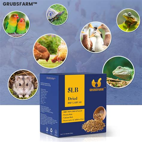 Buy GRUBSFARM Premium Dried Black Soldier Fly Larvae for Chickens ...