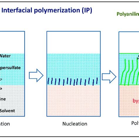 Interfacial Polymerization Process 的图像结果