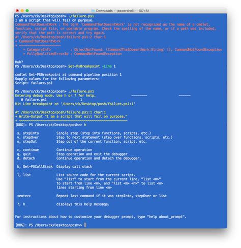 Image result for A Debugging Session in PowerShell