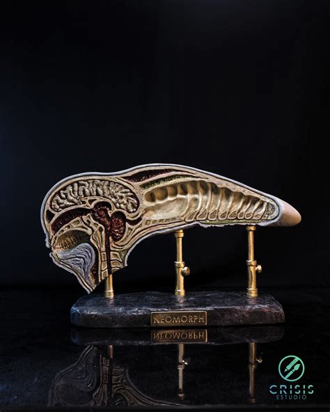 Image result for Alien Neomorph Meets David