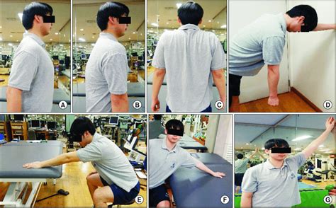 Image result for Scapular Mobilization Exercises