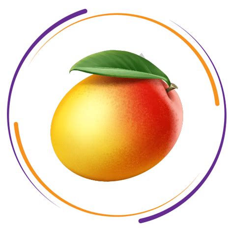 Mangoes – Froovella India