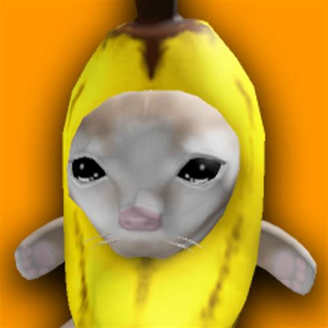 Image result for Cat Writing Python Code