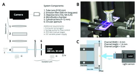 Image result for SPIM Features