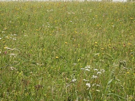 Low Cornriggs Holiday Cottages Rooms: Pictures & Reviews - Tripadvisor