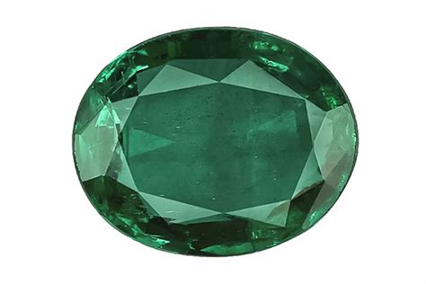 Image result for Emerald Back Python