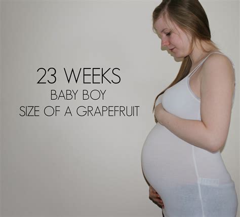 23 Week Pregnancy Update | Baby #2 | Emily and Indiana