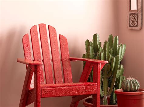 10 Most Popular Indoor Plants of 2020 and How to Care for Them – Advice ...