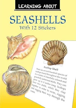 Learning About Seashells : Barlowe, Sy: Amazon.in: Books