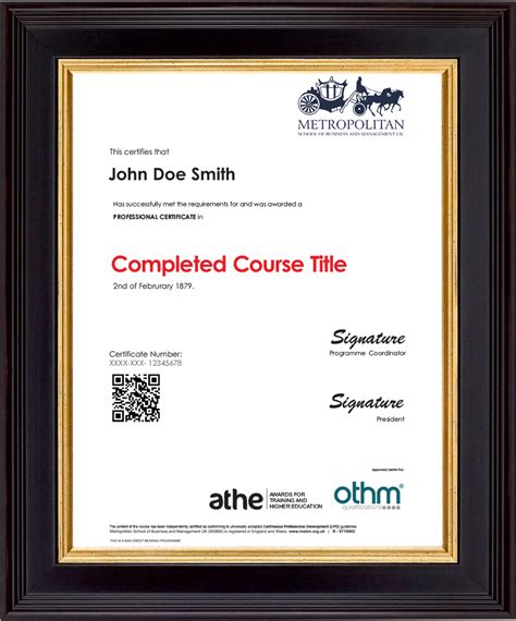 Professional Certificates | Metropolitan School of Business & Management UK