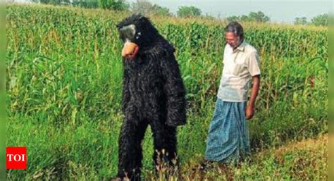 Siddipet: Monkey Menace: Siddipet Farmer’s Efforts To Scare Simians ...