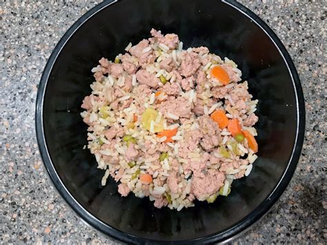 How to Cook Ground Turkey for Your Dog: A Complete Guide – THEKITCHENTODAY