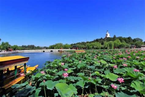 初夏依舟享清凉 京城公园划船好去处_旅游频道_凤凰网