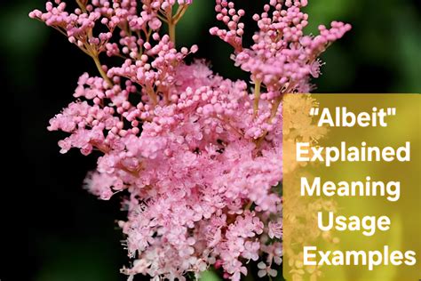 albeit-meaning-usage-examples-how-to-use