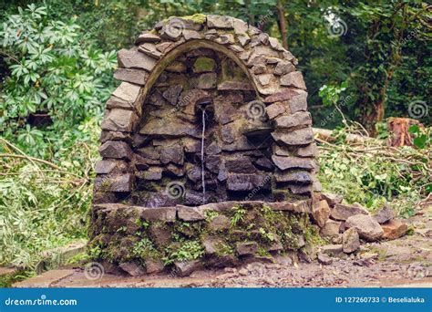 Image result for How to Find a Spring Water Source