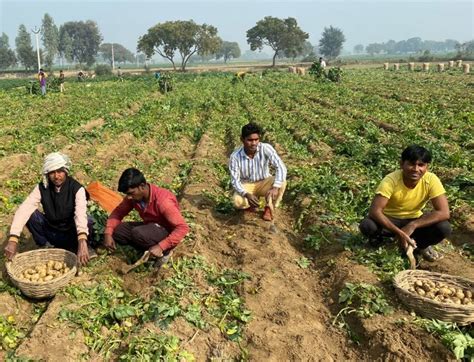 In 2022 Inclusive agriculture is the right road map for development ...