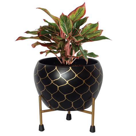 ecofynd 5 inches, Lio Black Metal Planter Pot with Stand, Modern Style ...