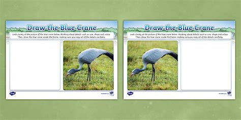 Grade 3 LS Creative Arts Draw the Blue Crane Worksheet (CAPS)