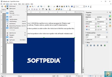 OpenOffice Word 的图像结果