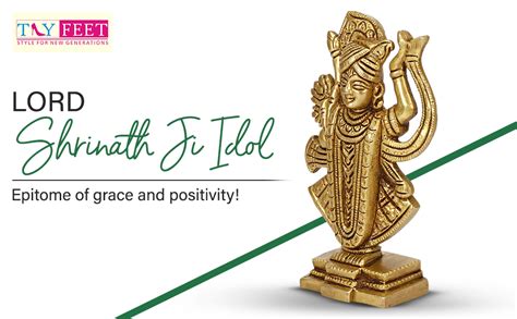 Buy TRY FEET Traditional Handicraft Superfine Brass Lord Shrinath Ji ...