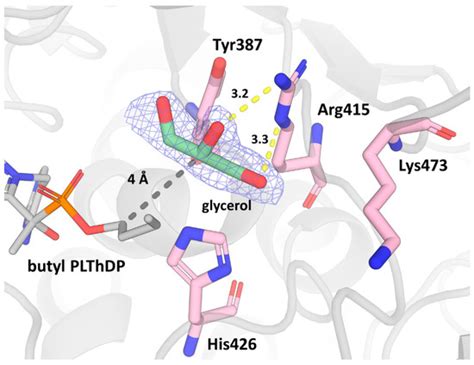 Structure of Mycobacterium tuberculosis 1-Deoxy-D-Xylulose 5-Phosphate ...
