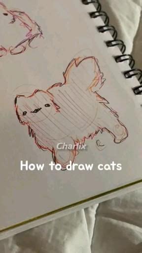 Easy Cat Drawing Tutorial for Beginners