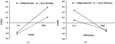 Linking Self-Esteem to Problematic Mobile Phone Use: A Moderated ...