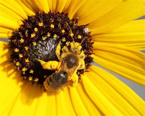 CMGA monthly meeting , Shepherd of the Hills Lutheran Church ...